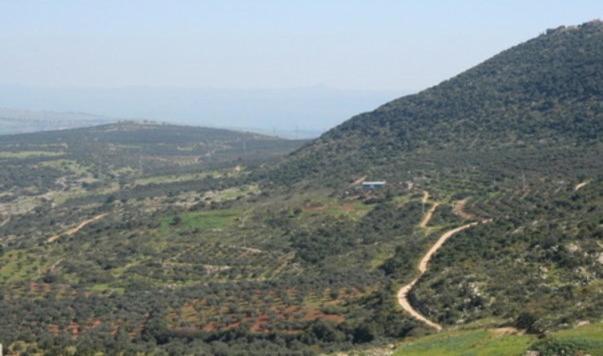 19Th Century Magical House In Galilee Villa Eilabun Dış mekan fotoğraf