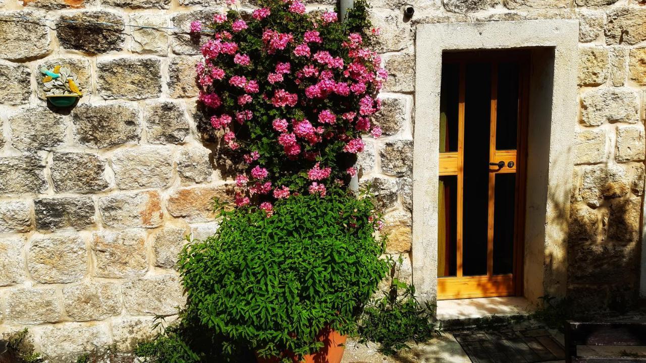 19Th Century Magical House In Galilee Villa Eilabun Dış mekan fotoğraf